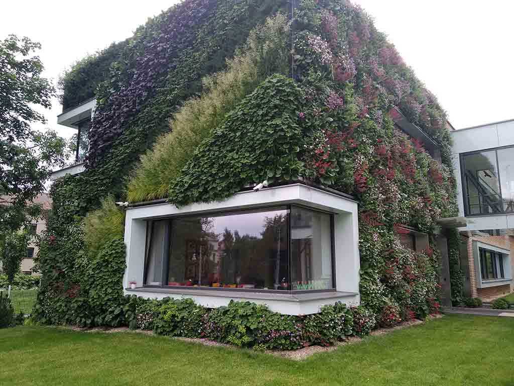 Majitelé veřejných a komerčních budov se zelenými střechami nově ušetří až 20 tisíc korun ročně za srážkovné