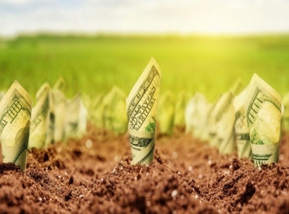 Ceny zemědělské půdy rostou. Podle čeho vybírat pozemek jako investici?