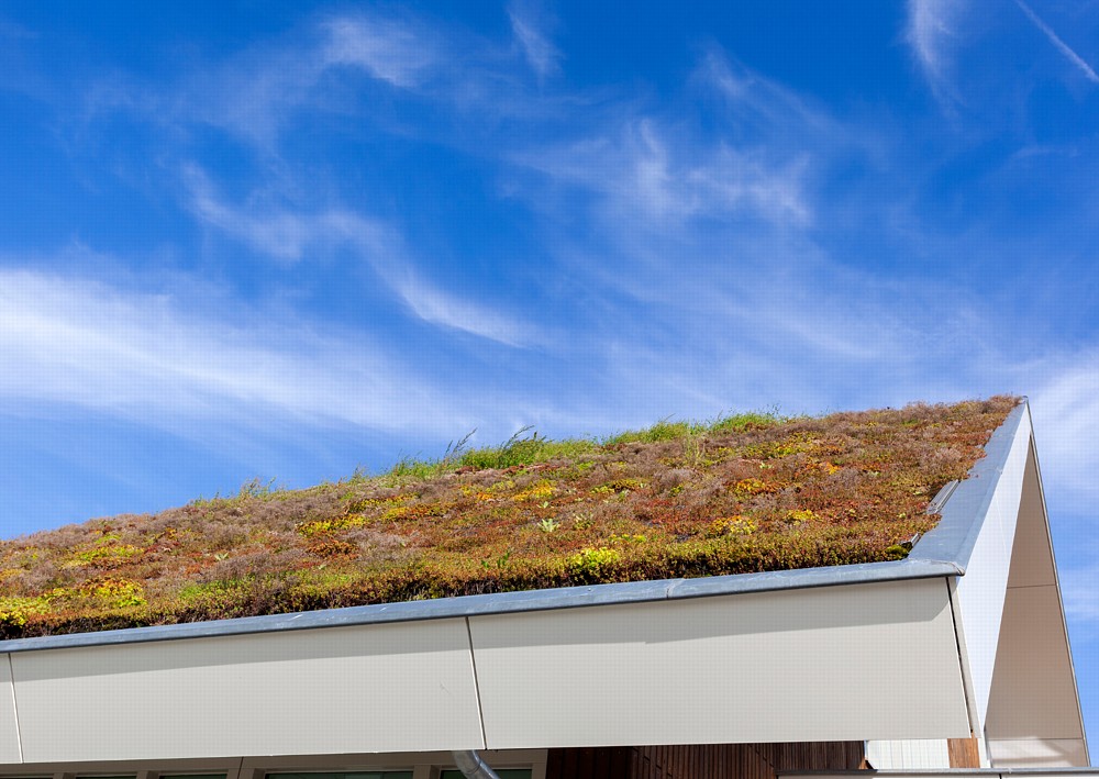 Zelená střecha využije potenciál domu naplno. Obklopte se přírodou i uprostřed města